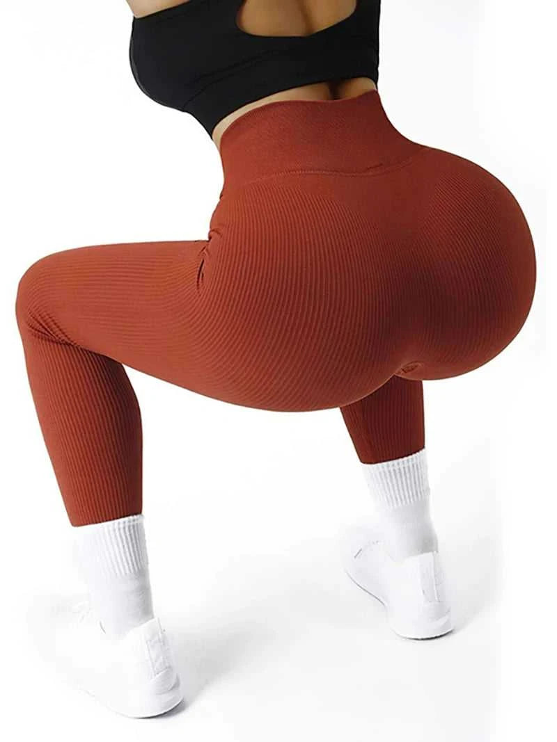 Sexy Gym Leggings Women Fitness Seamless Compression Leggings Women Running Outdoors Activewear Pants The jack market .AU The jack market .AU Woman Fashion $ 56 14:771#Black;5:361386