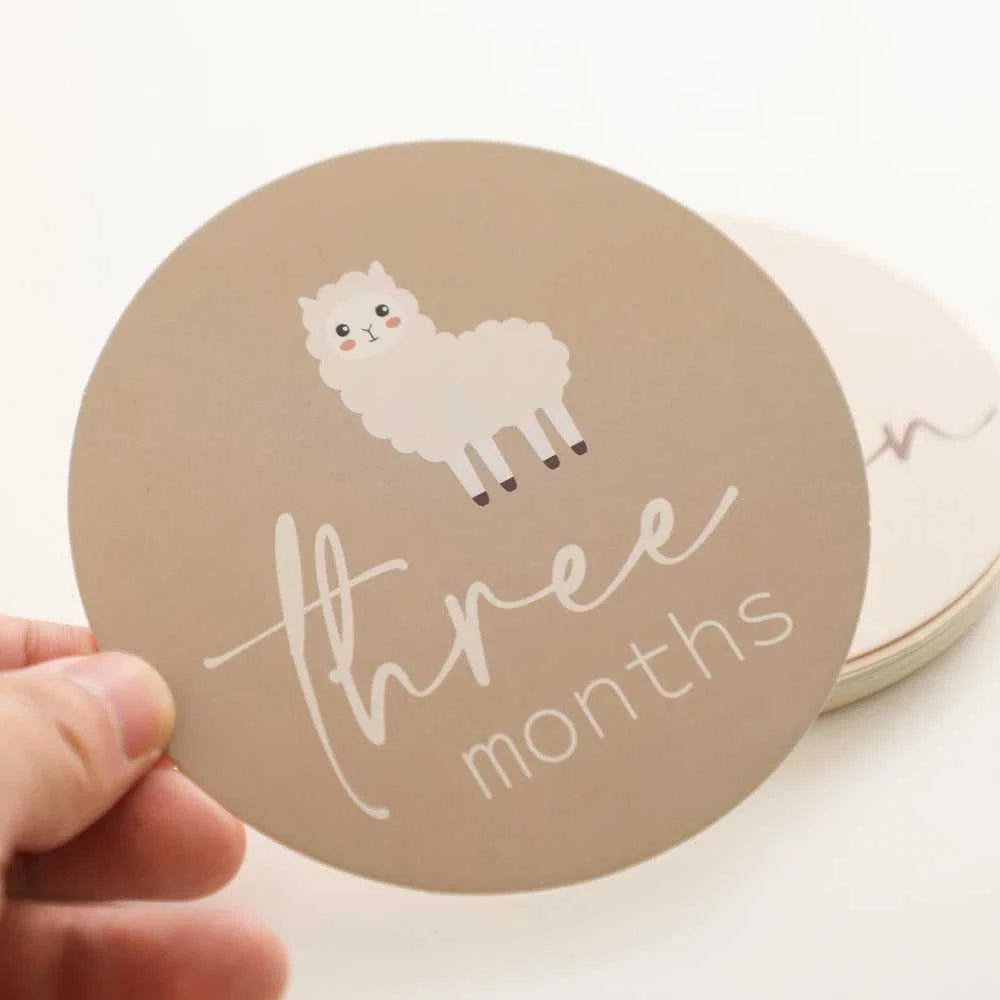 Baby Bear Milestone Number Monthly Memorial Cards Newborn Birthday Gifts Souvenir Newborn Birth Photo Photography Accessories