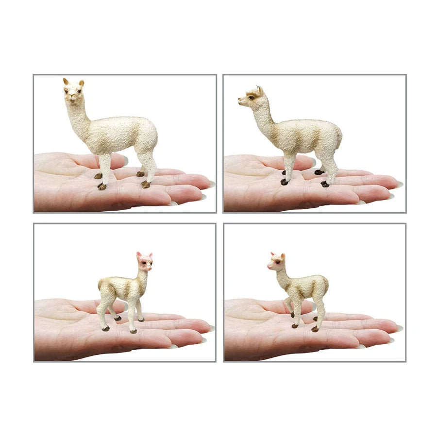Realistic Farm World Alpaca Animal Model Figures Llama Toy Figurine Zoo Education Collection Home Decor Playset Kids Gifts