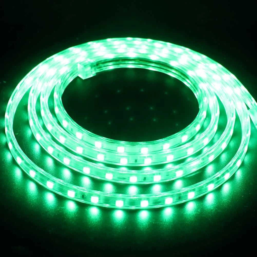 AC 220V LED Strip 60LEDs/m 5050 IP67 Waterproof Outdoor Decoration Red Green Blue Yellow White Flexible Ribbon Tape LED Strip The jack market .AU The jack market .AU Home $ 68 136:29;14:29#EU 220V;200007763:201336100;249:200006309#5m