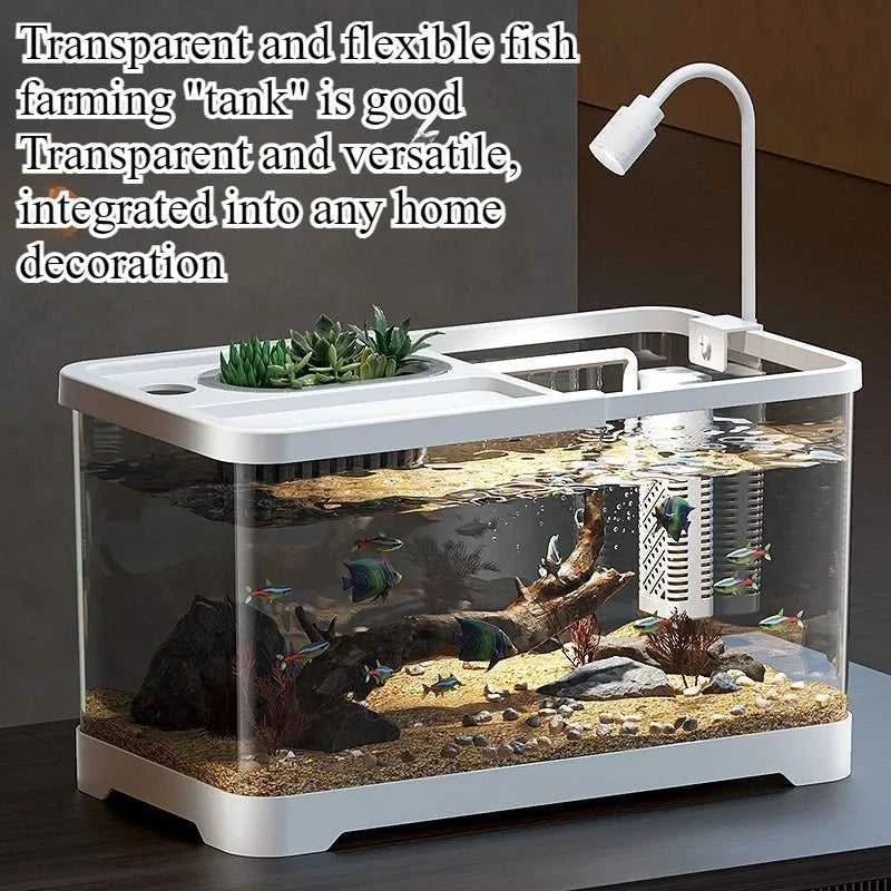Fish tank household aquarium living room desktop ecological circulation tank filter oxygenation integrated tank with cover The jack market .AU The jack market .AU Fishing Gear $ 54 14:200006152#Large 3