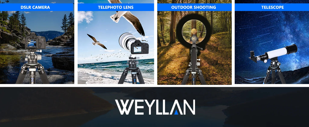 WEYLLAN CH55 Professional Tripod Ball Head 360° Low Gravity Center Panoramic CNC 55mm Ball for Tripod Monopod DSLR Camcorder New
