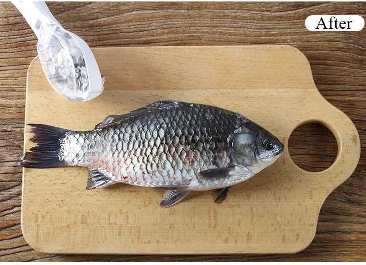 Fish Scale Scraper Fish Skin Brush Seafood Tools Fast Remove Fish Scraper Cleaning Knife Kitchen Accessories The jack market .AU The jack market .AU Fishing Gear $ 23 14:175#Green