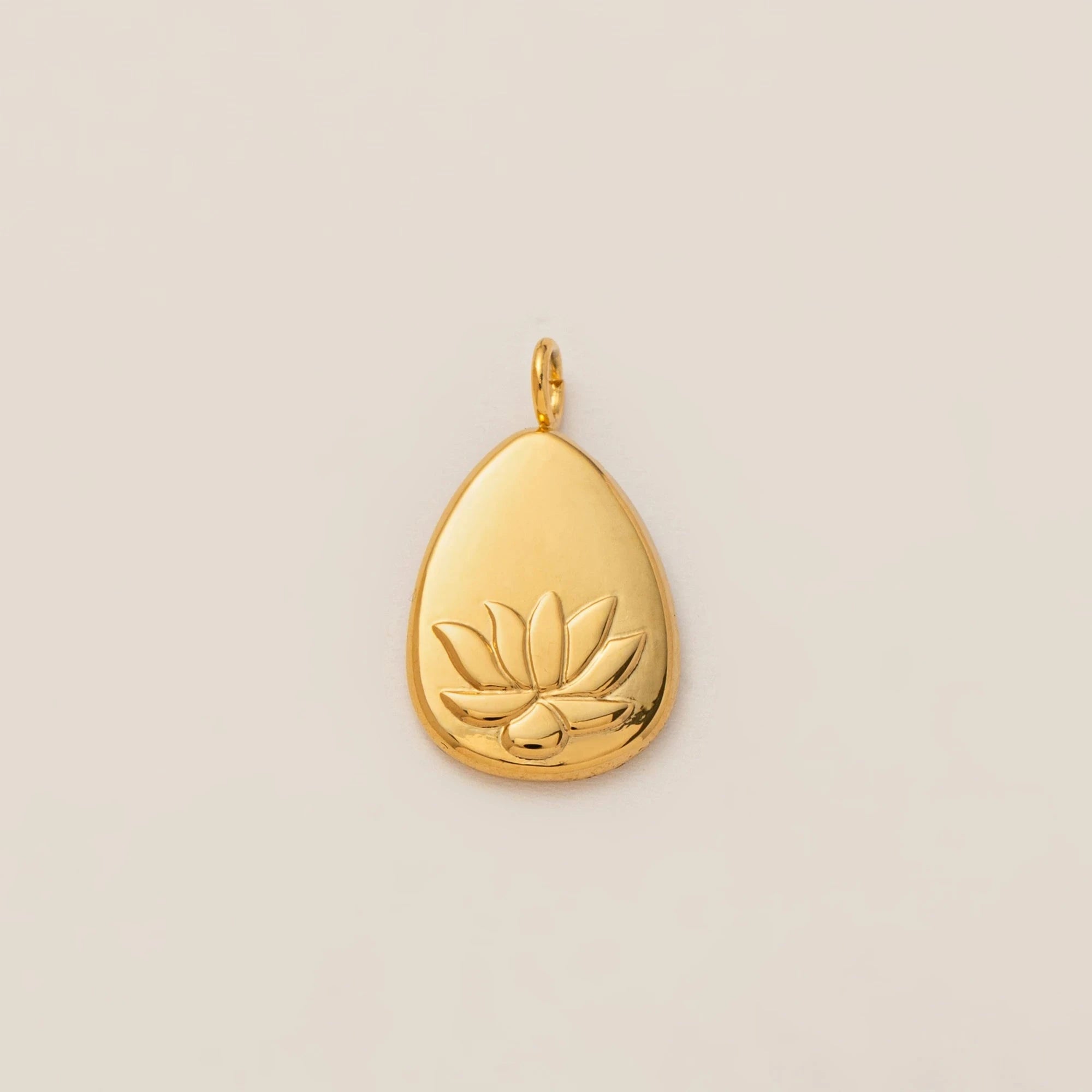 1PC stainless steel plated 18K gold pendant, can bring lucky pendant, DIY jewelry accessories first The jack market .AU The jack market .AU Jewellery & Chains $ 47 200001033:865#style 2;200007763:201441035