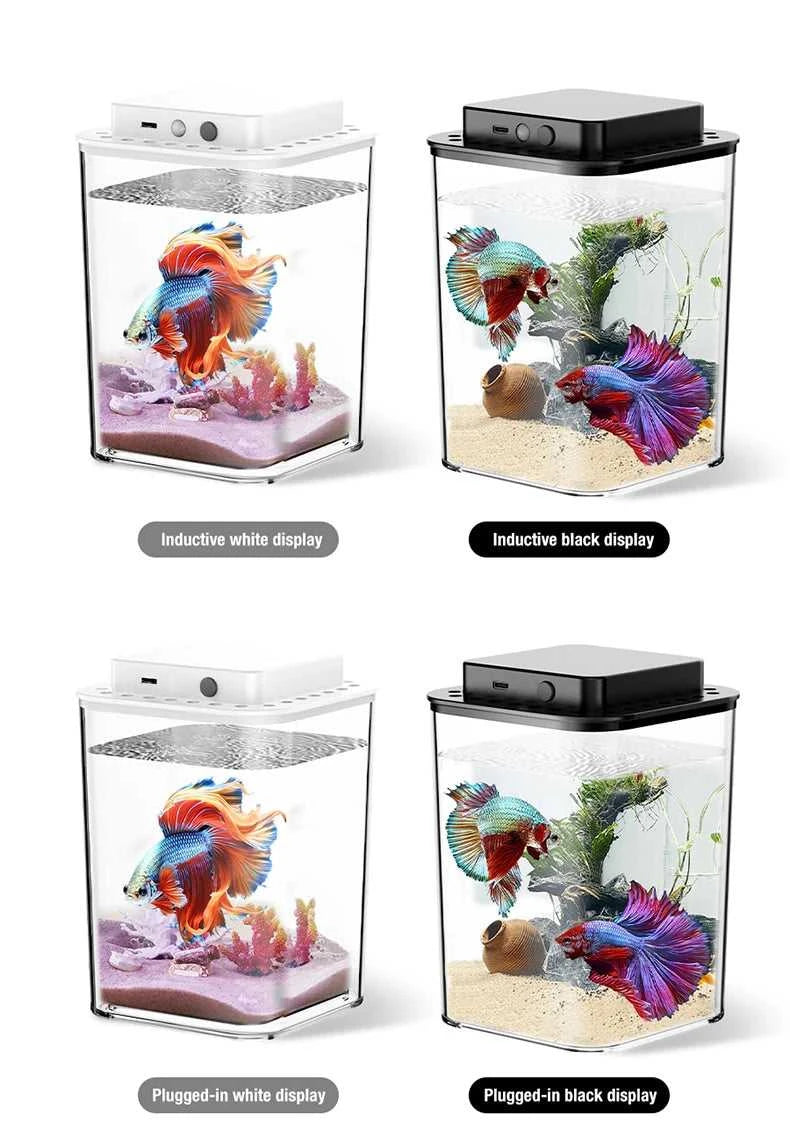 Desktop fish tank, new aquarium, lazy person, no water change, self circulating ecological fish tank, living room, small ecologi The jack market .AU The jack market .AU Fishing Gear $ 34 14:100018786#black