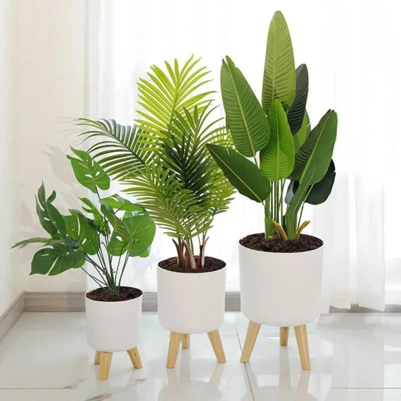 Self-Watering Pot Plastic Plant Pot with Legs Indoor Balcony Bonsai Flowerpot Home Decoration Supplies The jack market .AU The jack market .AU Home $ 55 14:29#1pc;583:200011021#20.5x29cm