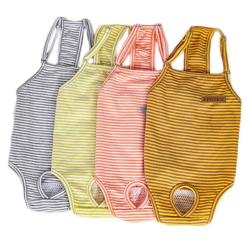 Female Dog Diapers Physiological Pants Strips Cat Dog Jumpsuit Panties Shorts Underwear Puppy Menstruation Briefs Supplies S-XL The jack market .AU The jack market .AU Home $ 25 14:366;5:100014065#L
