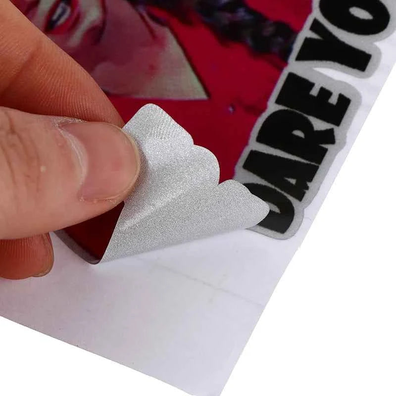 2pcs 8*8cm How Dare You Greta Thunberg Vinyl Decal Sticker Window Truck Car
