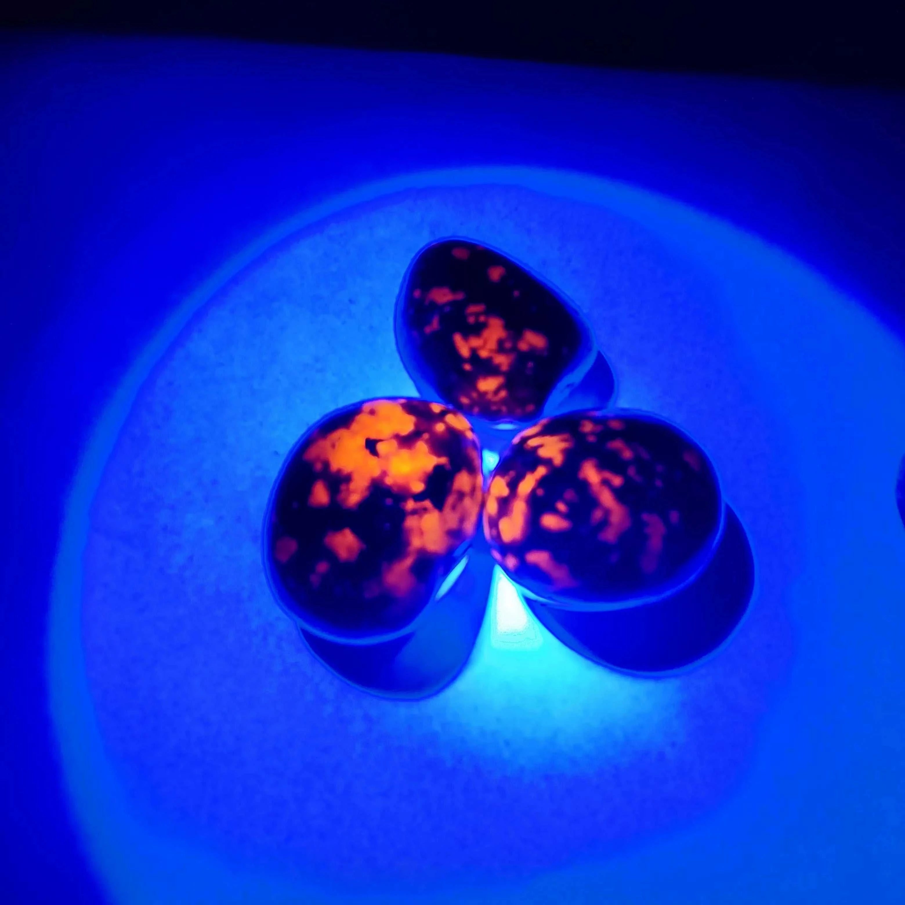 Natural Bright Yooperlites Flamestone UV Glowing Crystal Stone FireStone Fluorescent Sodalite Flame Stone Home Decoration Stone The jack market .AU The jack market .AU Home $ 22 14:200006152#about 100g;200007763:201336100;5:100014064#2-3cm