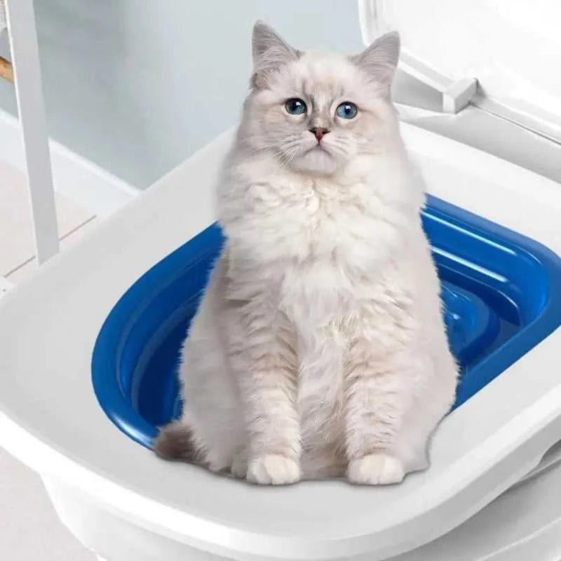 Universal Cat Toilet Training Kit With Any Cat Reusable Cats Dogs Potty Training Seat Pets Cleaning Cats Training Product The jack market .AU The jack market .AU Home $ 51 14:173#Blue;200007763:201336100