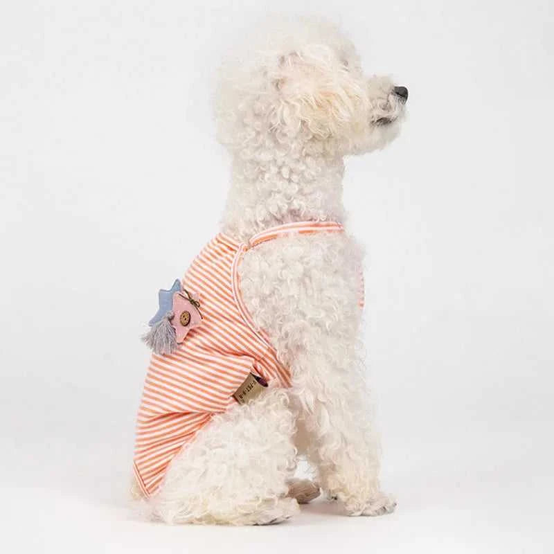 Female Dog Diapers Physiological Pants Strips Cat Dog Jumpsuit Panties Shorts Underwear Puppy Menstruation Briefs Supplies S-XL The jack market .AU The jack market .AU Home $ 25 14:366;5:100014065#L