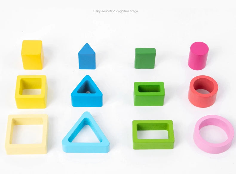 Montessori  Wooden Color Shape Cognitive Classification Matching Puzzle Children's Magnetic Fishing Learning Educational Toys