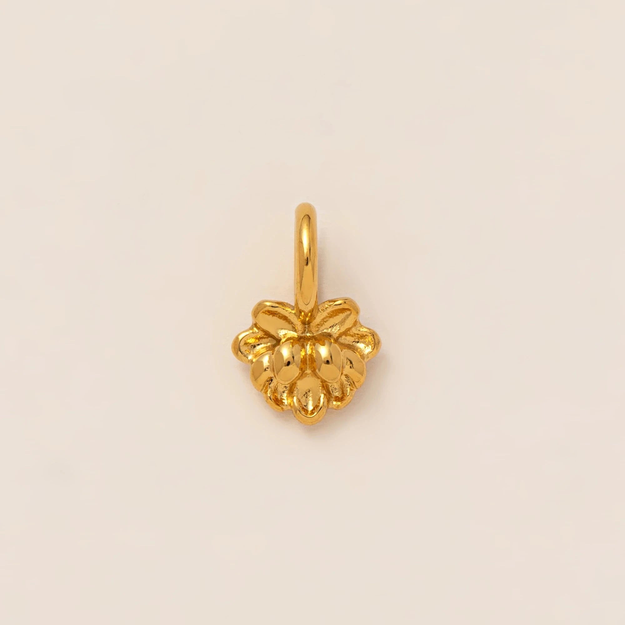 1PC stainless steel plated 18K gold pendant, can bring lucky pendant, DIY jewelry accessories first The jack market .AU The jack market .AU Jewellery & Chains $ 47 200001033:865#style 2;200007763:201441035