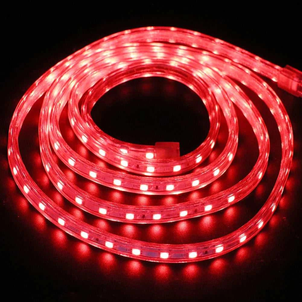 AC 220V LED Strip 60LEDs/m 5050 IP67 Waterproof Outdoor Decoration Red Green Blue Yellow White Flexible Ribbon Tape LED Strip The jack market .AU The jack market .AU Home $ 68 136:29;14:29#EU 220V;200007763:201336100;249:200006309#5m