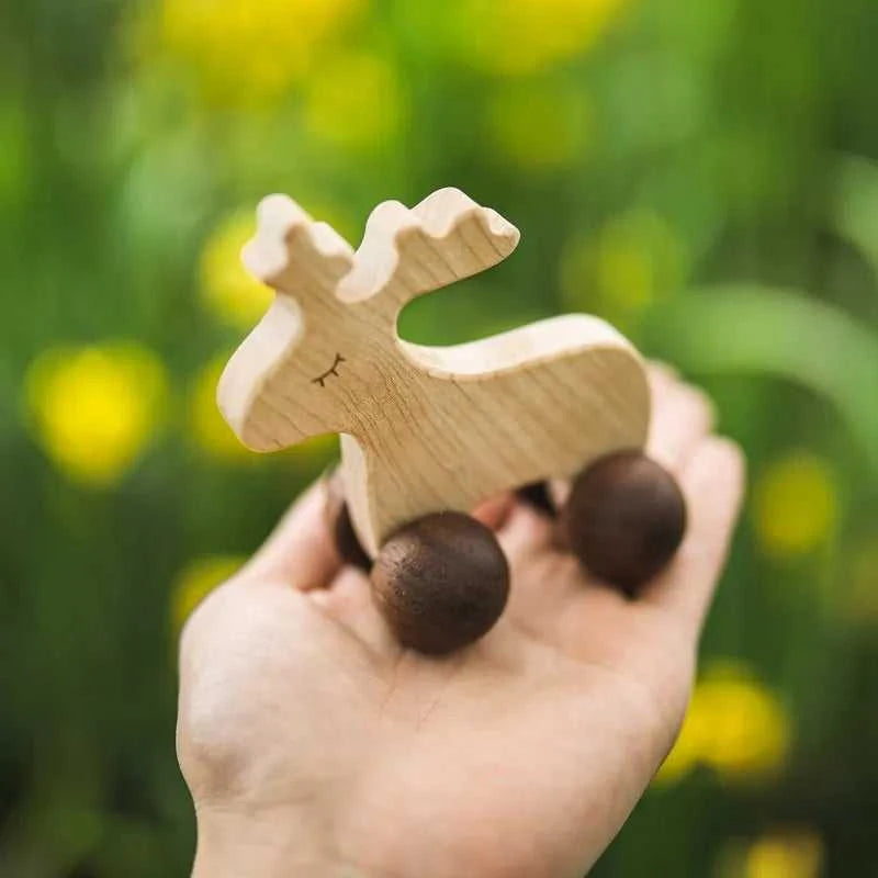 Wooden Cars Toys Maple Diy Crafts for Students Home Activities Montessori Grasping Teething Toy Newborn Birthday Gift Wood Block The jack market .AU The jack market .AU Little Wonders $ 52 14:691#10