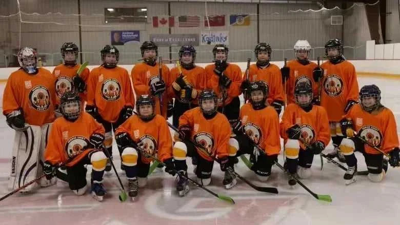 Hockey Jersey - Black/Green/White Long-Sleeve Apparel for Fans & Collectors 3d HD Prints The jack market .AU The jack market .AU Mum & Kids: Essential Products for Every Family $ 35 14:100018786#1;5:361386
