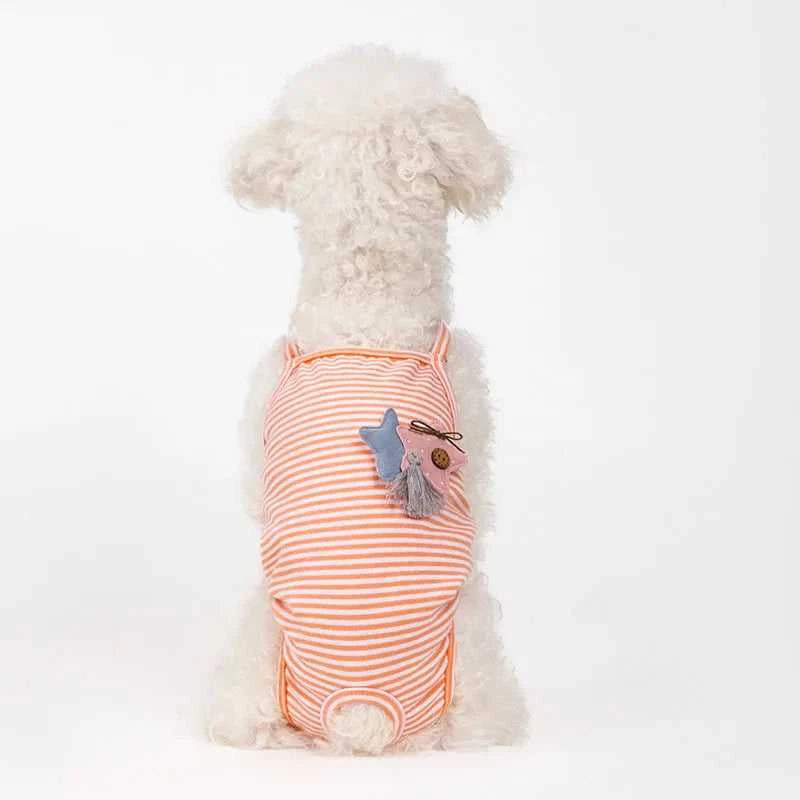Female Dog Diapers Physiological Pants Strips Cat Dog Jumpsuit Panties Shorts Underwear Puppy Menstruation Briefs Supplies S-XL The jack market .AU The jack market .AU Home $ 25 14:366;5:100014065#L