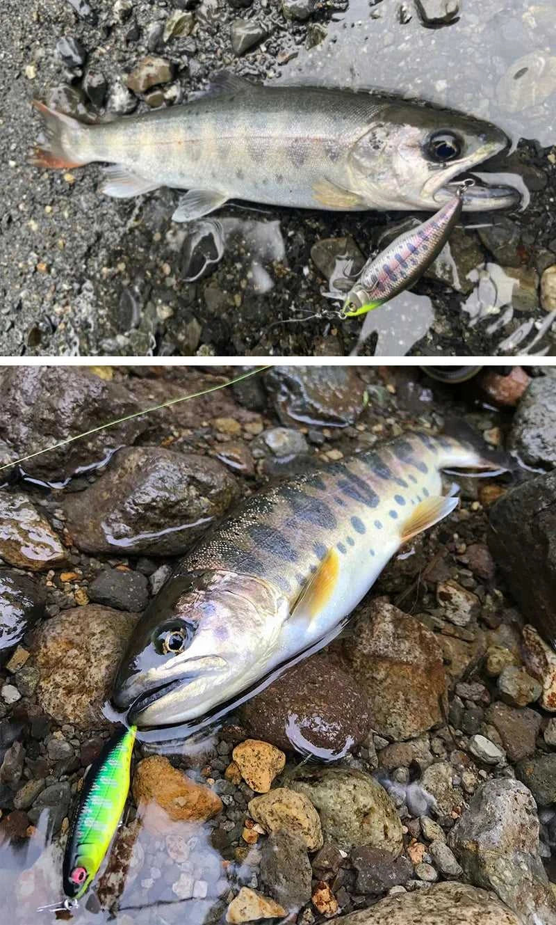 Fishing 50mm 3.5g Swimbaits Bass Big Fish Crankbaits Fishing Lure Floating Wobblers for Pike Minnow Lure Fishing Tackle The jack market .AU The jack market .AU Fishing Gear $ 25 14:200006152#11
