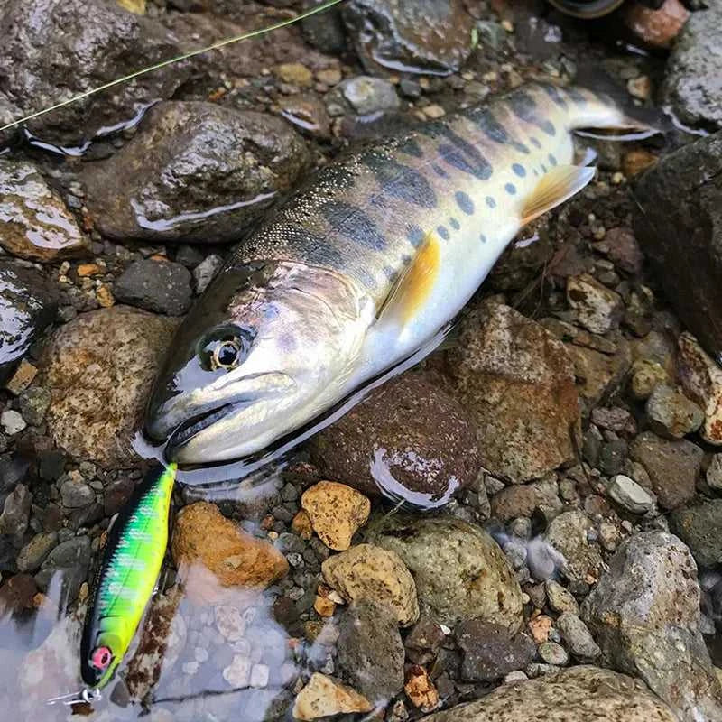 Fishing 50mm 3.5g Swimbaits Bass Big Fish Crankbaits Fishing Lure Floating Wobblers for Pike Minnow Lure Fishing Tackle The jack market .AU The jack market .AU Fishing Gear $ 25 14:200006152#11