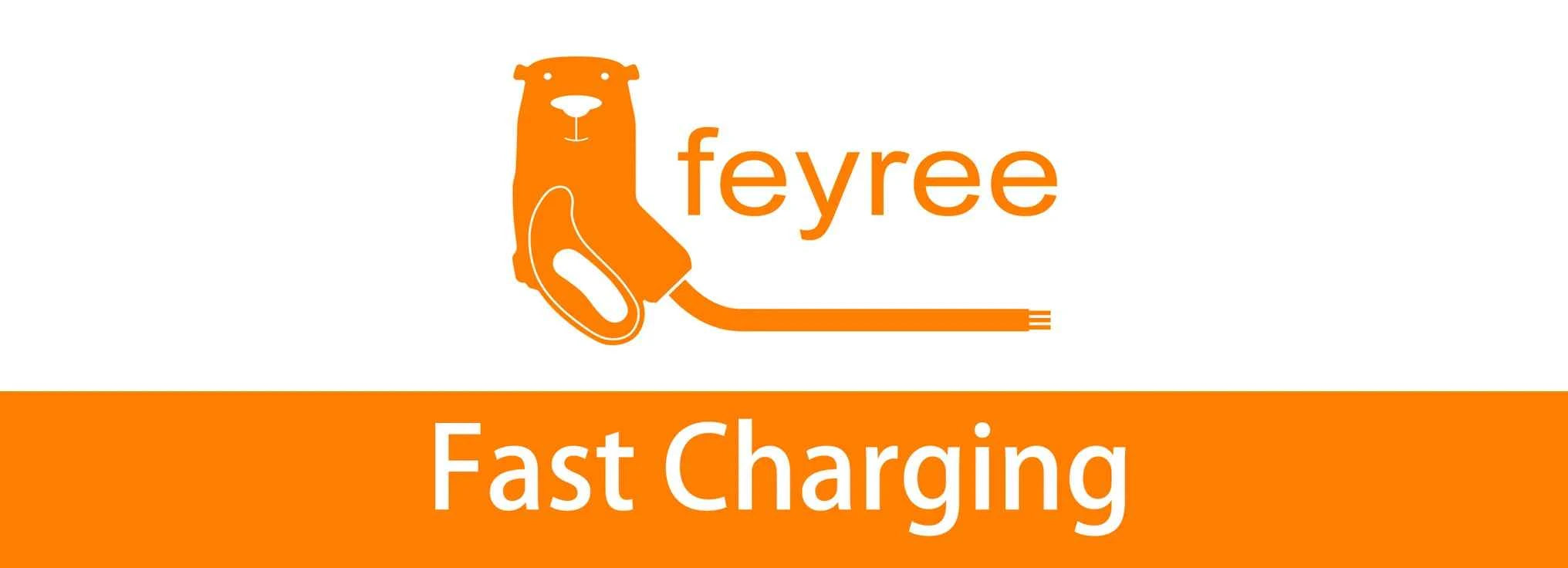 feyree 32A 7KW Type2 EV Portable Charger 11KW 16A 3 Phase 5M Cable EVSE Charging Box Car Charger CEE Plug for Electric Vehicle