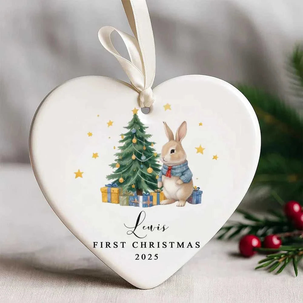 Personalized Baby's First Christmas Bauble Cute Rabbit 1st Christmas Ornament First Xmas Decoration Custom Newborn Gifts The jack market .AU The jack market .AU Mum & Kids: Essential Products for Every Family $ 22 10:47#Ceramic ;14:202997806#jk4223.4