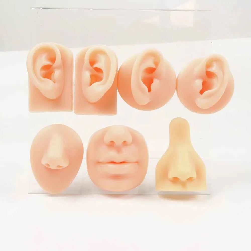 Soft Silicone Simulation Ear Nose Lip Tongue Models 3D Body Piercing Practice Parts for Piercing,Tattooing,Acupuncture Practice